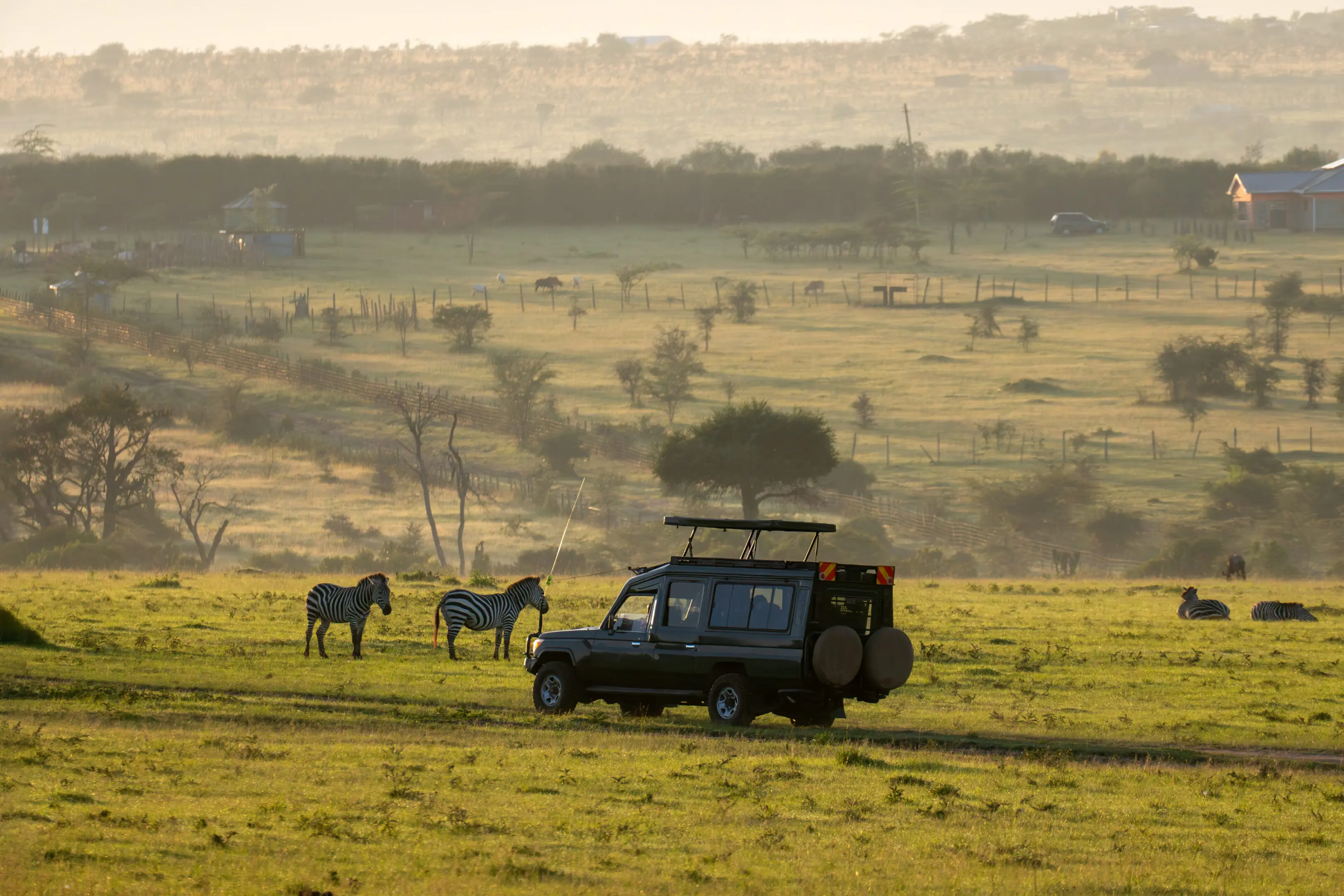 An SUV car for safari on the road in the African savannah. Tourists watch the animals in the car. game drive in early morning at dawn. A safari vehicle is parked in the middle of an open field.