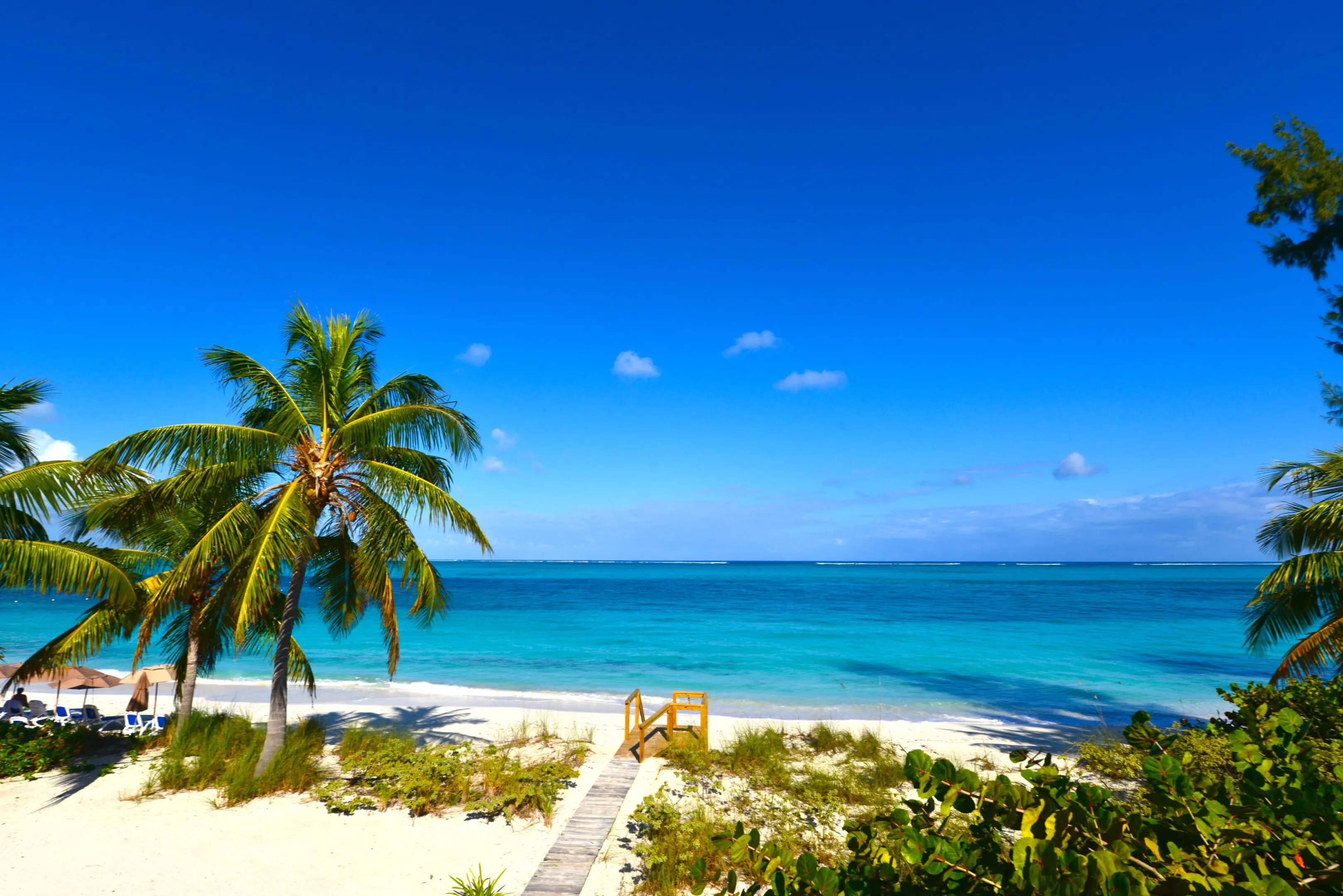 Steps at Grace Bay Beach in Turks and Caicos A beach with palm trees and blue skies