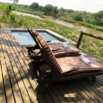 Lounge chairs and jacuzzi in the savanna